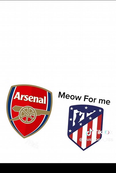 Meow meow 👉👈🐱#footballedit #astonvilla #arenal #capcut #fyp