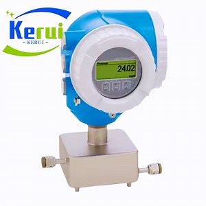 [Hot Item] Original Endress Hauser C300 Proline Cubemass Coriolis Water Gas Models Flow Meter