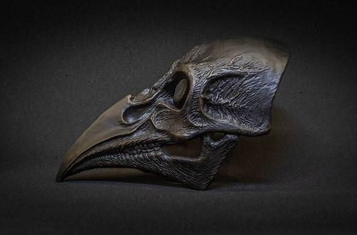 Plague Doctor Mask Bird Skull With a Movable Jaw. - Etsy