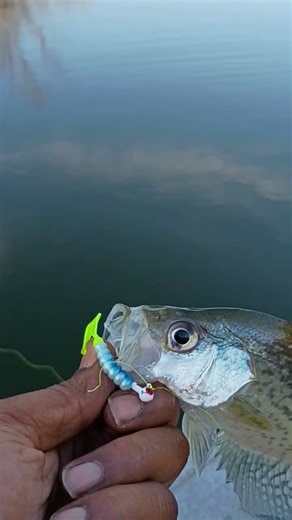 slapping the day with a jigg #atlanta #fishing #nightfishing #contentcreator