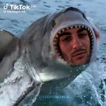AHI ESTA, AHI EST, SE LA LLEVÓ EL TIBURÓN EL TIBURÓN ferran. torres