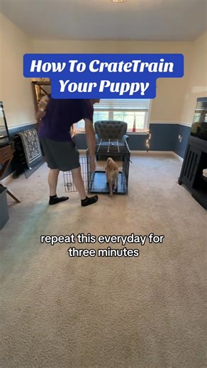 64K views · 682 reactions | How To & Why You Should Crate Train Your  #cratetraining #puppylove #dogsafety #dogsafetytips #dogtrainingadvice #puppytrainingtips #marylanddogtrainer #marylanddogs #PuppyClass #clickertraining #dogtrainingtips #puppytraining101 #privatedogtraining | Best Buddy Dog Trainer, LLC | Facebook