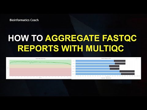 How to Aggregate Multiple FastQC Reports into one File using MultiQC | DNA and Protein sequences