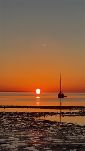 satisfying #outdoors #sunset #somethingintheorange