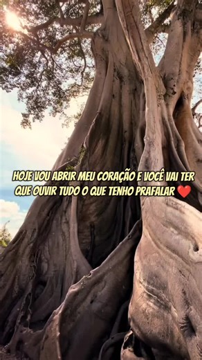 Direito de te AMAR ❤️🥰😇 #belo #pagode #mmusic #lyricsvideos #lyrics_songs