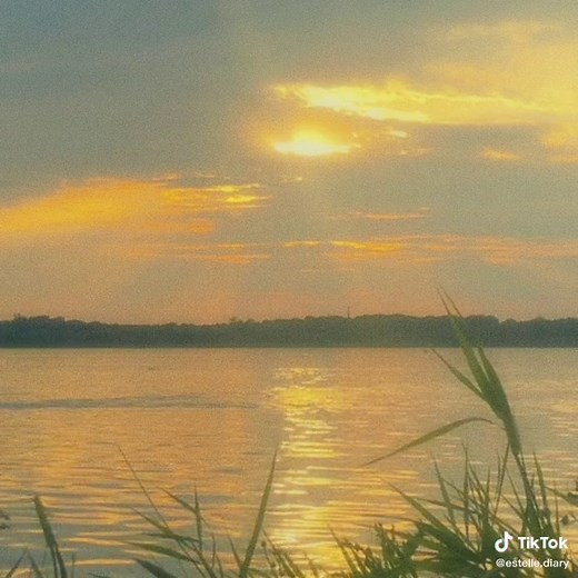 Éstelle ✨ on TikTok
