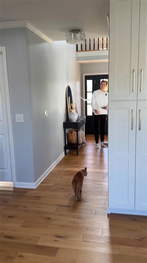 60K views · 1.8K reactions | flying bird toy 礪 | Abram Engle | Facebook