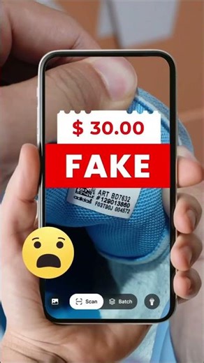 QR Code Reader, Scan Barcode 2026 01 28 fb96b735e3559a9d22e1a46a8765a1ca 0