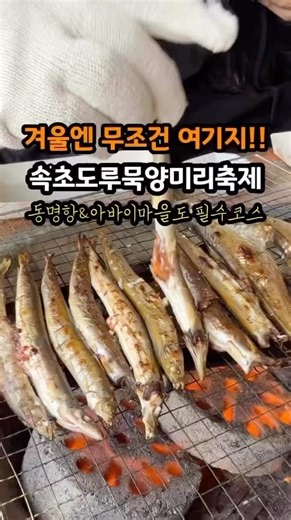 #속초여행 #속초맛집 #속초 #겨울여행 #속초도루묵축제 #속초양미리축제 #겨울축제 #동명항