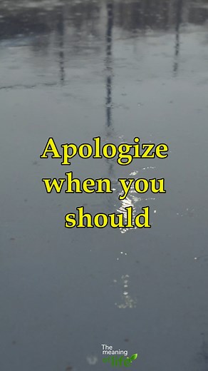 Life is short to be anything but Happy, | The meaning of life