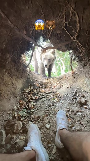 Veselim se, sada sam dobro! 🙋🏼‍♂️❤️🐻