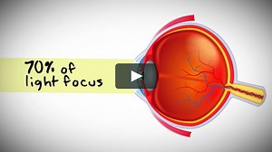 That's a Fact - The Seeing Eye