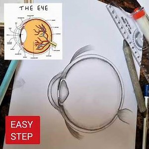 Human eye diagram drawing class 10 CBSE