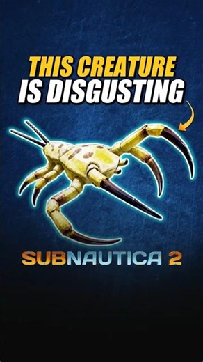 Stop Swimming in Circles Looking for Subnautica 2 Creatures