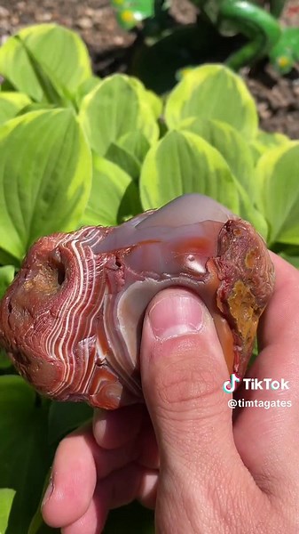 Showing off a few of our favorite “self-named” Lake Superior Agates from the collection! #agate #rocks #hunting #minnesota #gems #minerals