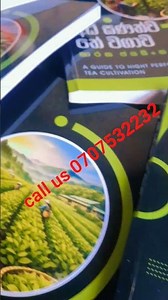 අක්කයට දලු කිලෝ 1000 ට වැඩියෙන් කඩමු #ceylontea #tea #books