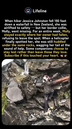 She Waited By the Waterfall for a Week 🐕🚁