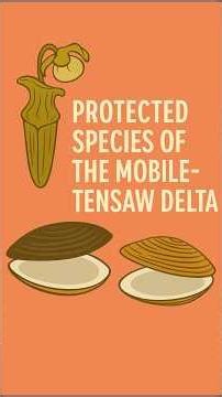 3 protected species on the delta. #mussels #pitcherplants #endangeredspecies #fyp