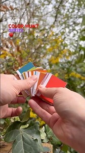 Exploring the Garden - Color Hunt Edition #colorhuntseries #thesmallthings