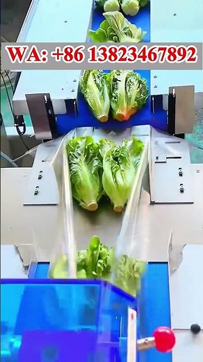 Vegetable packing machine, Lettuce packaging machine #vegetablepackingmachine #flowpackmachine