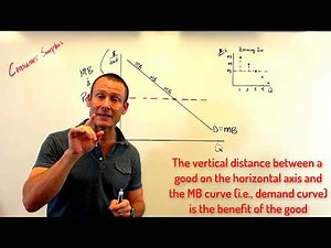 Consumer Surplus: Everything You Need to Know (in under 5 minutes)