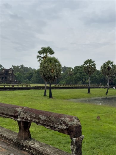 17 reactions | BOOK BUDDY on Reels | Facebook