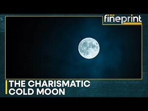 The Brightest Moon of the Year: How the Cold Moon Affects Every Sign | WION Fineprint