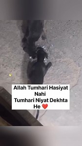 Janwar bhi bhai ky wafadar bn gai😍 #dog #insaniyat #humanity #doglover | HARRY BHAI