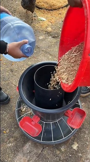 New water-powered feed trough for chickens and ducks. #poultryfarming #pets #chickencoop