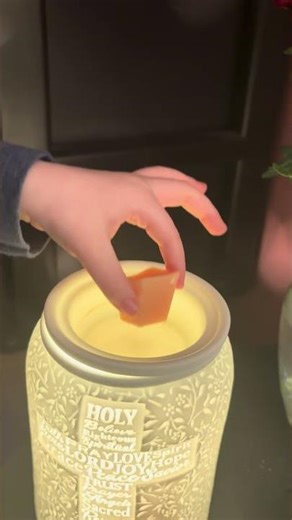 Wax change! What is your favorite scent? #fragrance #scentsy #workfromhome #motherhood #homedecor