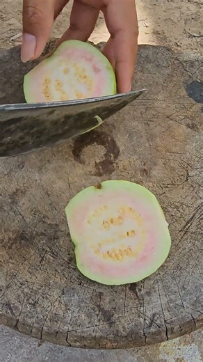 Guava fruit | Guava benefits