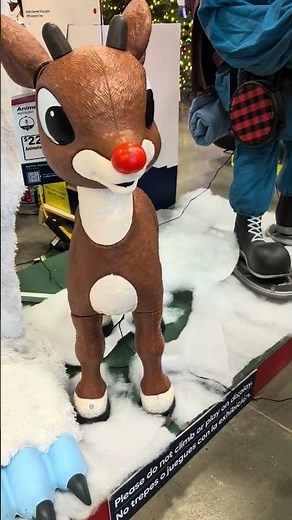 #rudolphtherednosereindeer #animatronic from #lowes #christmas display