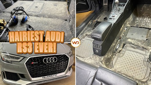 Hairiest Audi RS3 Gets Extreme Dog Hair Detailing