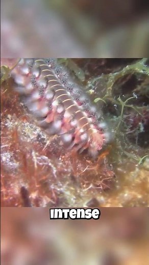 The Worm That Sets You ON FIRE?! 🔥🤯