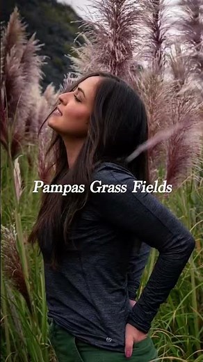 4 Must See Spots: Big Sur California