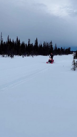 Snowmobiling Adventure with 907pete in Alaska