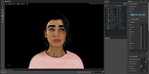 Audio2Face RTX-Interactive (Path Tracing ) is not Working