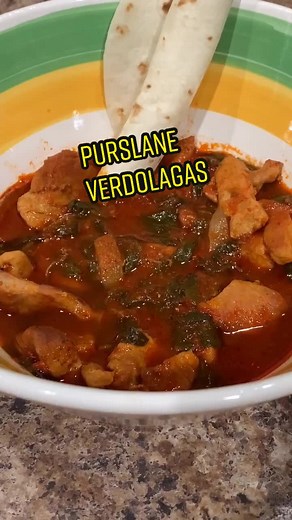 Delicious Verdolagas Recipes | Easy Cooking Ideas