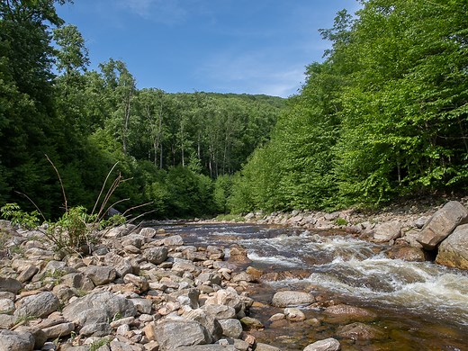 Dolly Sods Wilderness Loop Backpacking Guide — Into the Backcountry