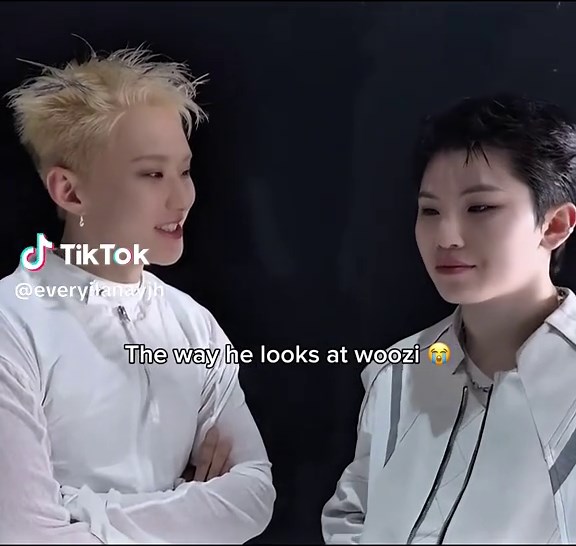 Hoshi and Woozi: Emotional Moments from Seventeen's Stage