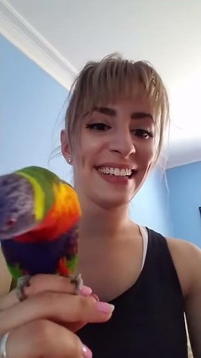Hissing parrot with owner