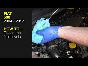 Fiat 500 (2004 - 2012) - Check the fluid levels