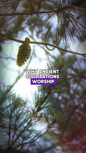 The Hidden Spiritual Secret of Pine Trees ✨🌲 #Shorts
