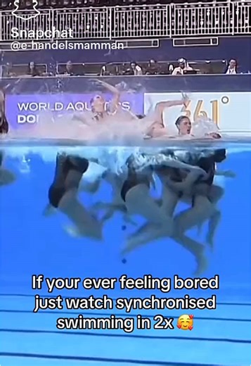 _LetzReact_ on TikTok