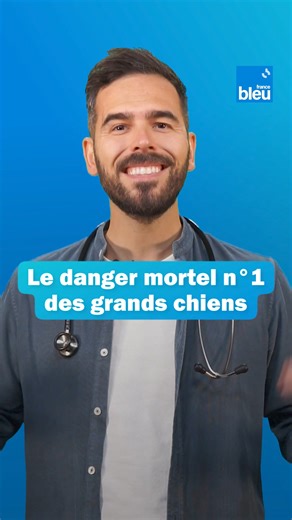 1.7K views | C'est le danger numéro 1 des grands chiens, type berger allemand, et il peut être mortel  喙 Le Dr Pierre Fabing nous alerte sur les signes à surveiller et les mesures préventives à mettre en place pour protéger notre chien. | ici Armorique | Facebook
