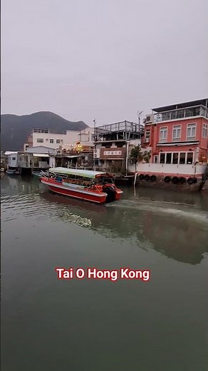 Tai O Sightseeing boat #boat #taio #stilthouse #shorts