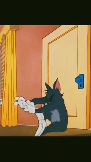 225K views · 8K reactions | Tom and Jerry lion fight Watching the video Comedy Cartoon 藍藍 #viralpost2025シ #Tomorrow #comedy #follower #tomandjerry #facebook #tommyhilfiger #FacebookPage Prajapati Vivek | Prajapati Vivek | Facebook