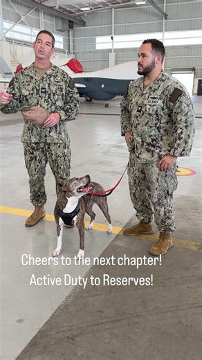 Congratulations to Electronics Technician 2nd Class Alberto Romero on his transition from Active Duty to Reserves.From serving aboard USS IWO JIMA (LHD 7) and with the ground electronics team at Mayport’s Air Ops Dept, we wish you the all the best on your next chapter!! #Mayport #Navy #USNR #NavyReserves #Reenlistment Navy Region Southeast Navy Reserve | Naval Station Mayport