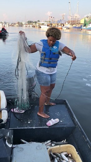 Cast netting mullet for bait