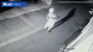 Funny moment landlady watches prowler with cardboard box on head